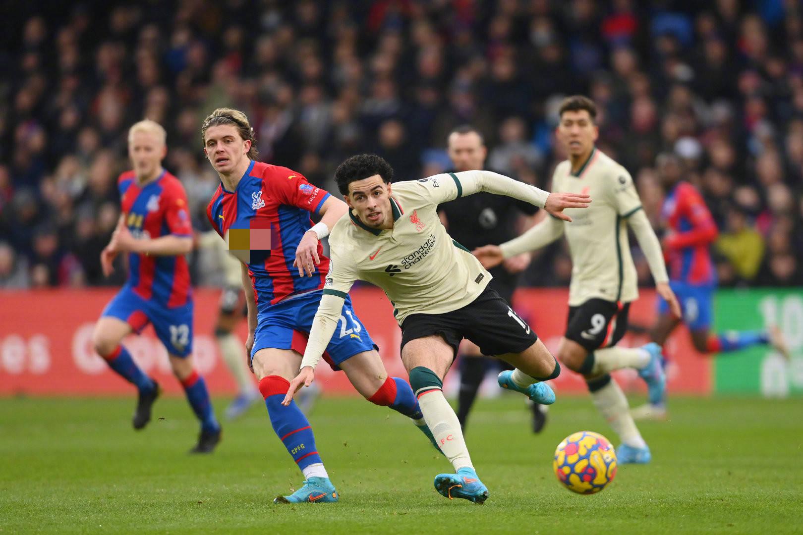 顯示出球隊 顯示出球隊