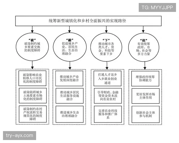 博努奇与鲁伊斯防线组织中的多点覆盖机制与转移逻辑